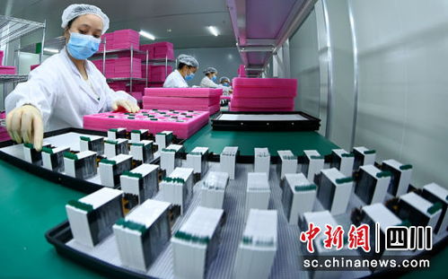 南充蓬安 擘畫新藍(lán)圖 開啟新征程
