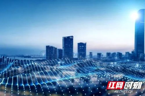 bim技術 建筑工人工地搬磚也能搬出科技感丨軟件業再出發 天心在行動⑩