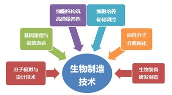 輕工技術與工程博士后科研流動站